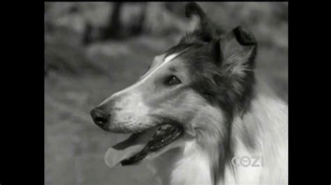 Lassie Episode 326 Lassie To The Rescue Season 10 Ep 3 1011963 Youtube