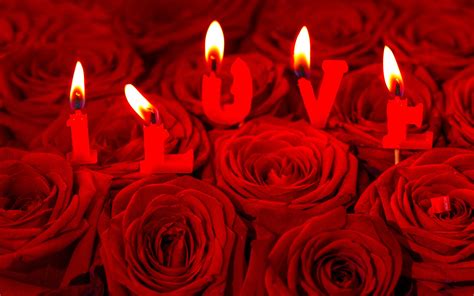 Download Wallpapers Valentines Day Red Roses Burning Candles