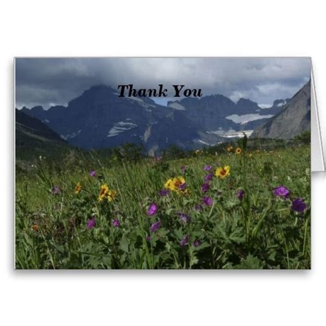 Thank You For Sympathy Note Mountain Wildflowers Zazzle Wild