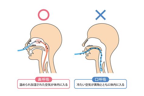 睡眠中の口呼吸は健康への悪影響が？鼻呼吸の練習をして毎日の健やかな眠りを サンスター健康道場