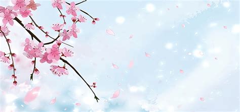 271 Background Bunga Sakura Myweb