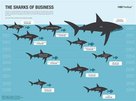 Infographics 101 Translating Data To Quirky Visuals Shark Shark