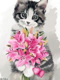 Kittens cat background kitten images cat colors dog flower dog cat cat breeds cat behavior cat flowers. Cat Flowers GIF - Cat Flowers - Discover & Share GIFs