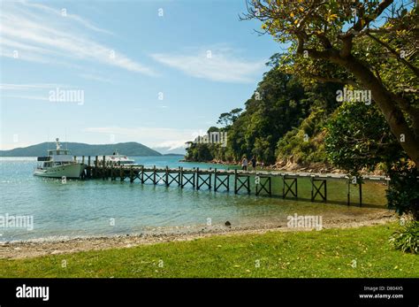 Jetty At Ship Cove Queen Charlotte Sound Marlborough New Zealand