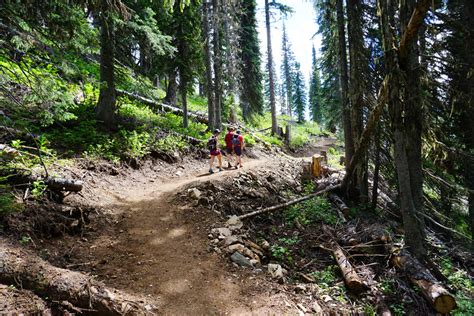 Sightseeing And Hiking Revelstoke Mountain Resort British Columbia