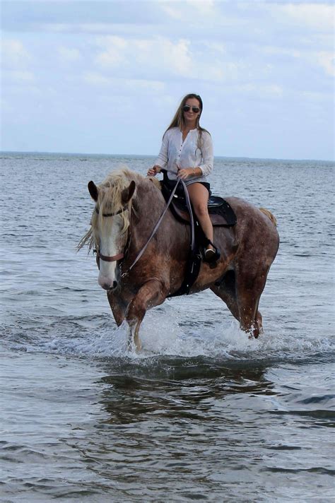 Beach Horseback Riding And Swimming With Horses In Tampa Bay St