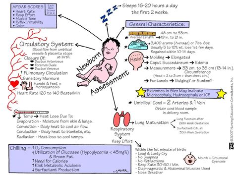 Newborn Mnemonics Neonate Newborn Mnemonic Memory Notebook
