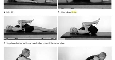 Nishar Bashas Blog Williams Flexion Exercise