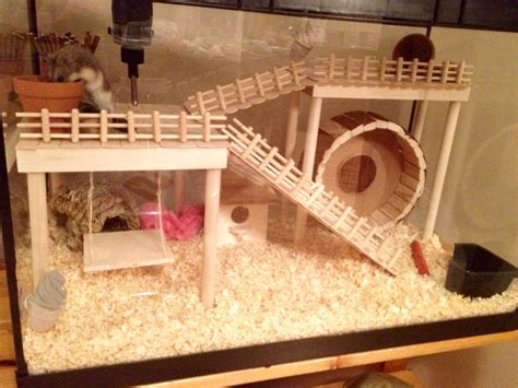 Hamster Cage Diy Aquarium Conversion Russian Campbells Dwarf