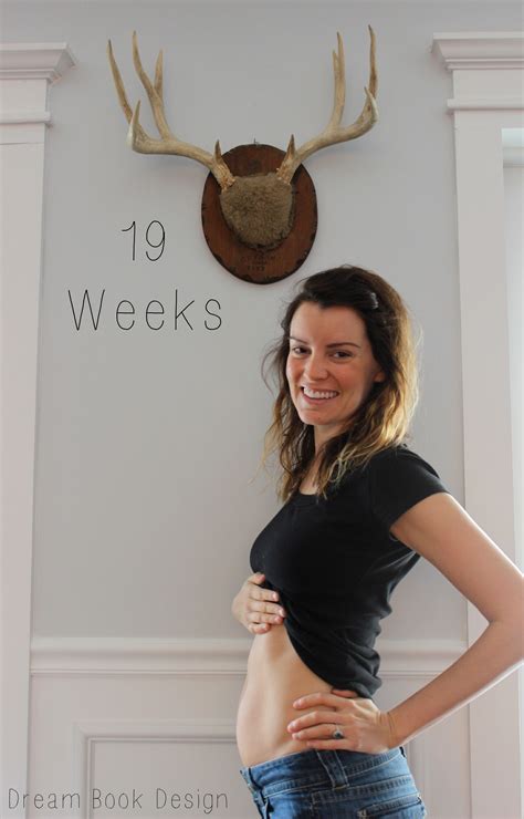 19 Week Pregnant Belly The Hippest Pics