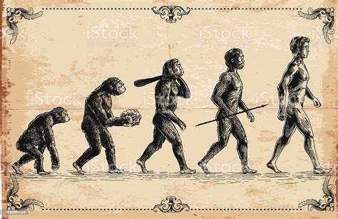 Vector Of Human Evolution Concept Stock Vector Art And More