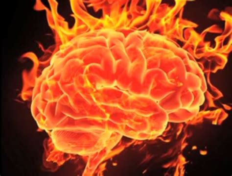 Brain On Fire Maladie Automasites