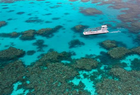 Port Douglas Great Barrier Reef Pontoon Reef Cruise