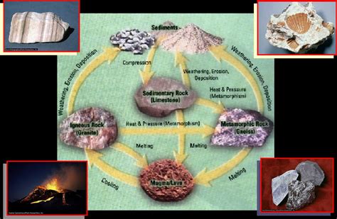 Batuan Sedimen Mengenal Proses Pembentukan Tekstur Dan Jenisnya My