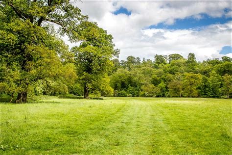 Duncombe Park Walk Helmsley Walk North Yorkshire Walks