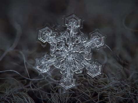 Stunning Macro Details Of Uniquely Beautiful Snowflakes With An