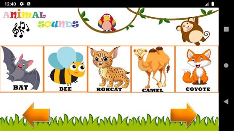 Animal Sounds Animals For Kids Learn Animals Apk For Android Download