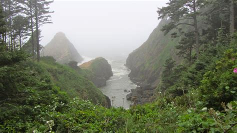 Oregon coast has a ghost forest | via magazine. Redwood Original - Rolling Free