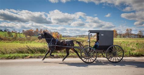 This County Is Home To The Largest Amish Community In Ohio