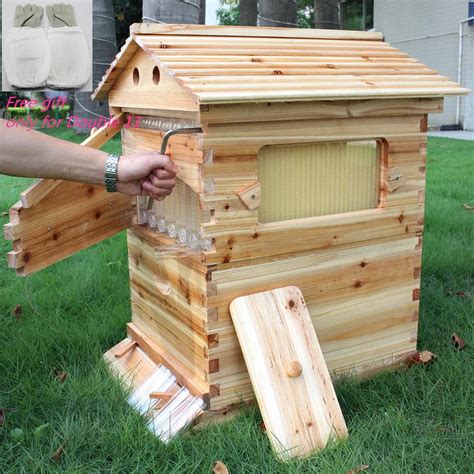 Wooden Beehive Box With 7 Beehive Frames Beekeeping Tools Honey Self