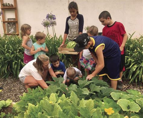 Victory Gardens Are Blooming Again News Appeal