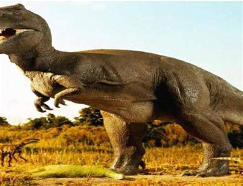 What Did Dinosaurs Look Like Dinomake