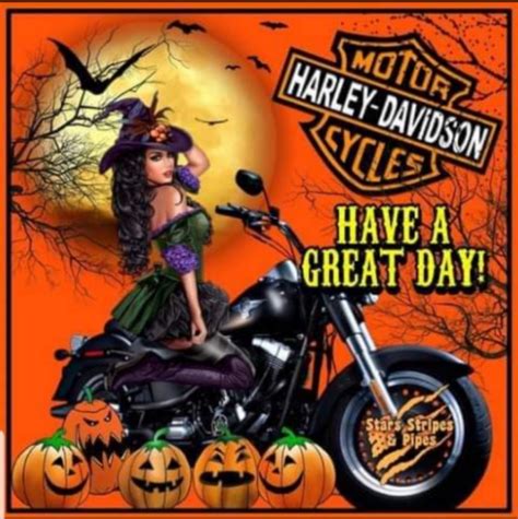 Harley Davidson Glasses Harley Davidson Decals Harley Davidson