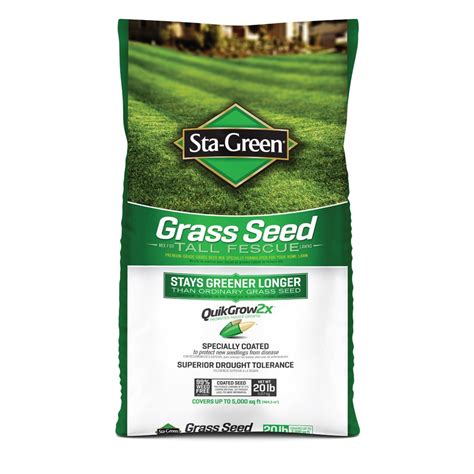 Shop Sta Green 20 Lb Tall Fescue Grass Seed At
