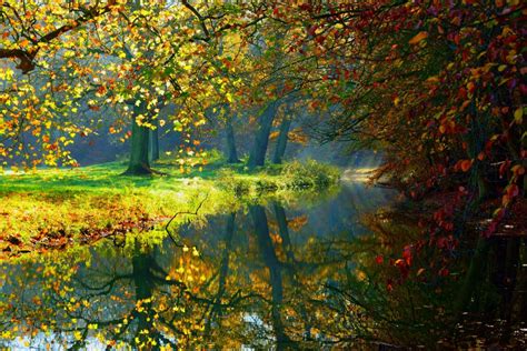 Landscape Nature Autumn Forest Trees River Reflection