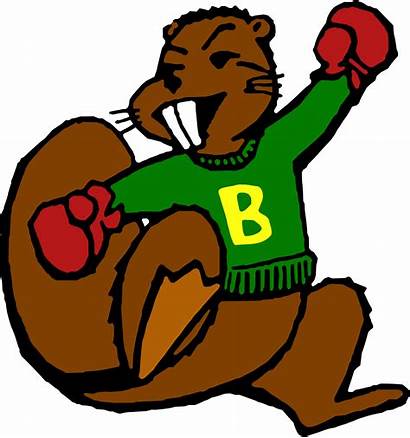 Beaver Dam Wisconsin Golden Wi Beavers Mascot