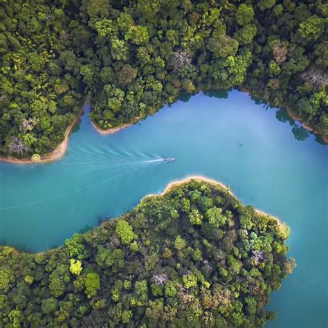 Southeast Asia Rainforest Map