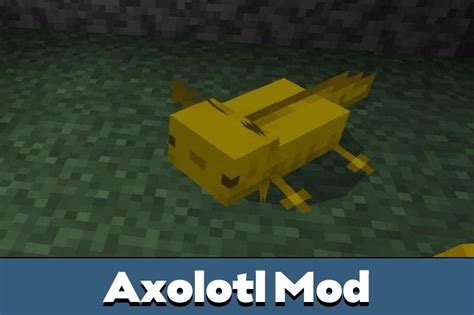 Download Axolotl Mod For Minecraft Pe Axolotl Mod For Mcpe