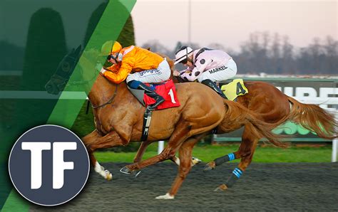 Horse Racing Tips Timeforms 8 Best Bets At Kempton On Monday