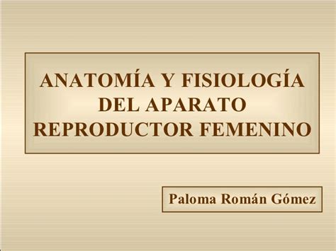 Anatomia Y Fisiologia Del Aparato Reproductor Femenino Ciclo Menstrual