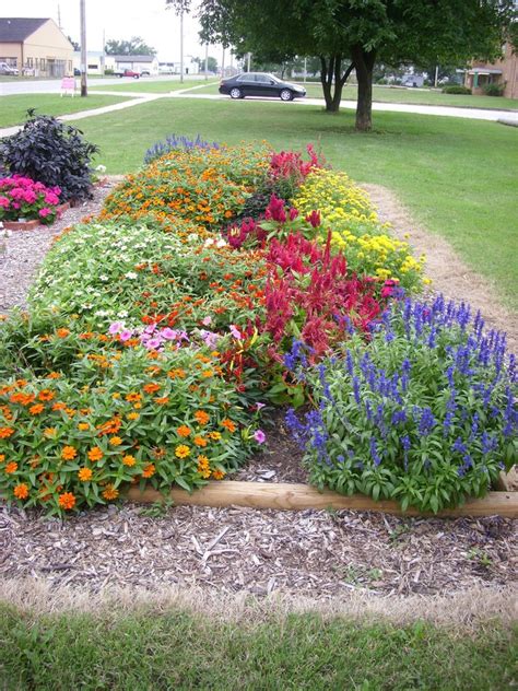 Beautiful Garden Photo With Bright Colored Annual Flowers
