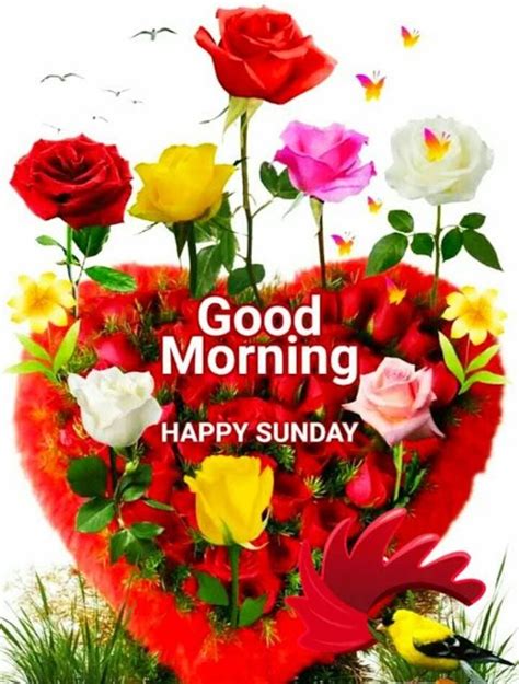 10 Good Morning Sunday Greetings For A Beautiful Day