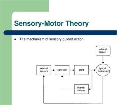 Ppt A Sensory Motor Theory Of Rhythm Time Perception And Beat