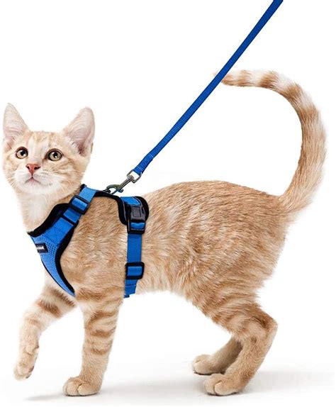 Rabbitgoo Cat Harness And Leash For Walkingescape Proof Soft