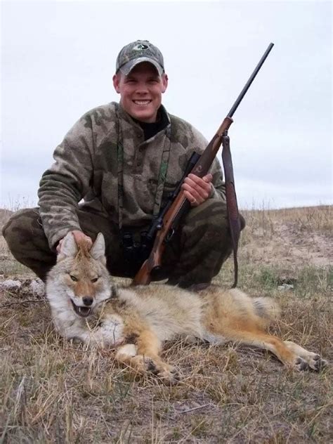 Tips For Successful Hunting Coyotes Coyote Hunting