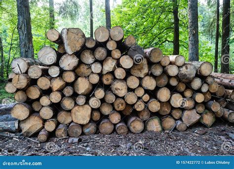 Pile Of Wood A View Of Huge Stacks Of Logs Stock Photo Image Of