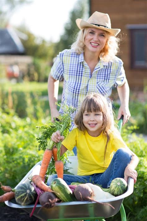 Child In The Garden Wheelbarrow With Fresh Vegetables Outdoor Mother