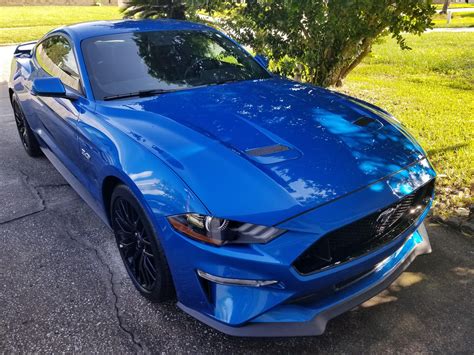 My First Mustang 2019 Velocity Blue Gt Premium W Pp1 Im In Love