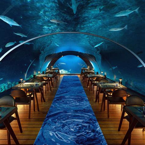 5 Best Underwater Restaurants To Dine In When You Are In The Maldives