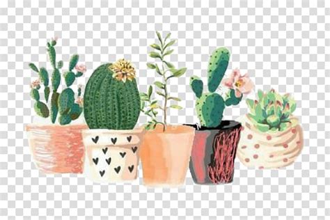 Cactus pots, cactus clipart, watercolor clipart, flower pots, digital clip art, plant pot, hand painted, printable, commercial use d e t a i l s from. Five succulent plant illustrations, Cactaceae Art ...