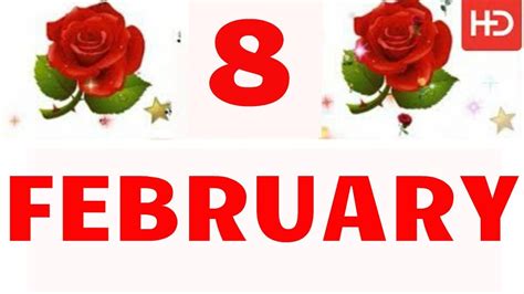 8 February Special New Birthday Status Video Happy Birthday Wishes