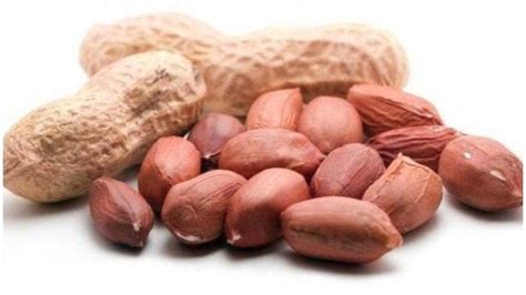 We did not find results for: 5 Manfaat Kesehatan Kacang Tanah, Sumber Protein Tinggi ...