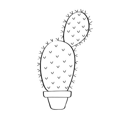 How do you draw a cactus step by step? Раскраска Кактус