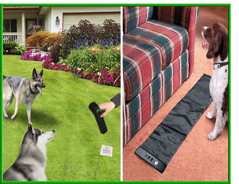 10 Electric Pet Fences To Keep Your Furry Friends Safe A Comprehensive
