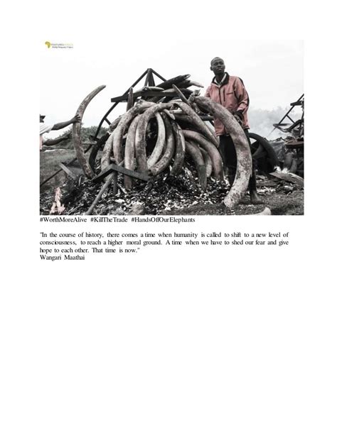 The Elephant Massacre In Africa