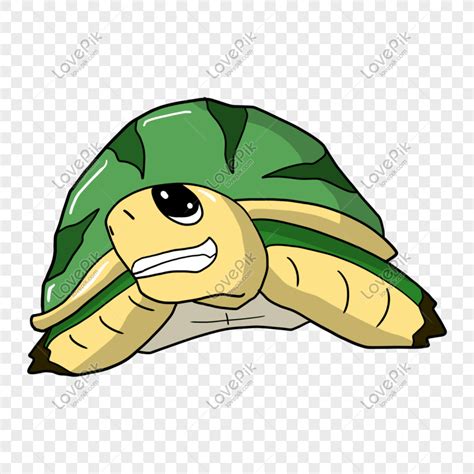 Cara menggambar binatang laut gurita kura kura kepiting youtube. Paling Hits 30 Gambar Kartun Kura Kura Kecil - Miki Kartun